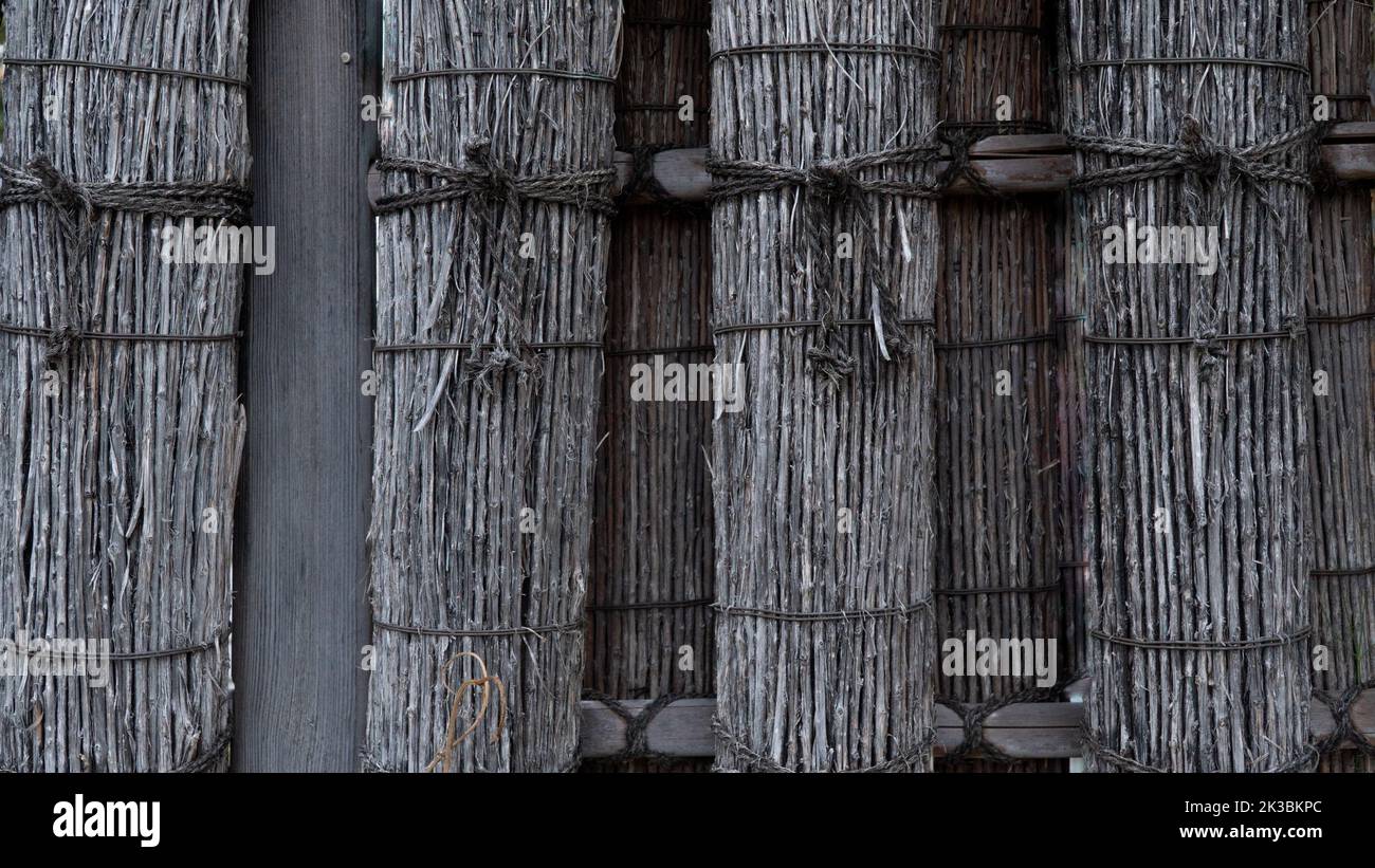 Haie décorative de grappes de tiges sèches et branches d'arbres Banque D'Images