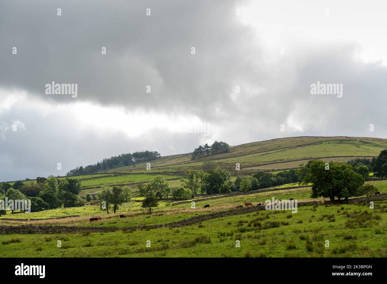 Campagne vallonnée à Cumbria, Royaume-Uni Banque D'Images