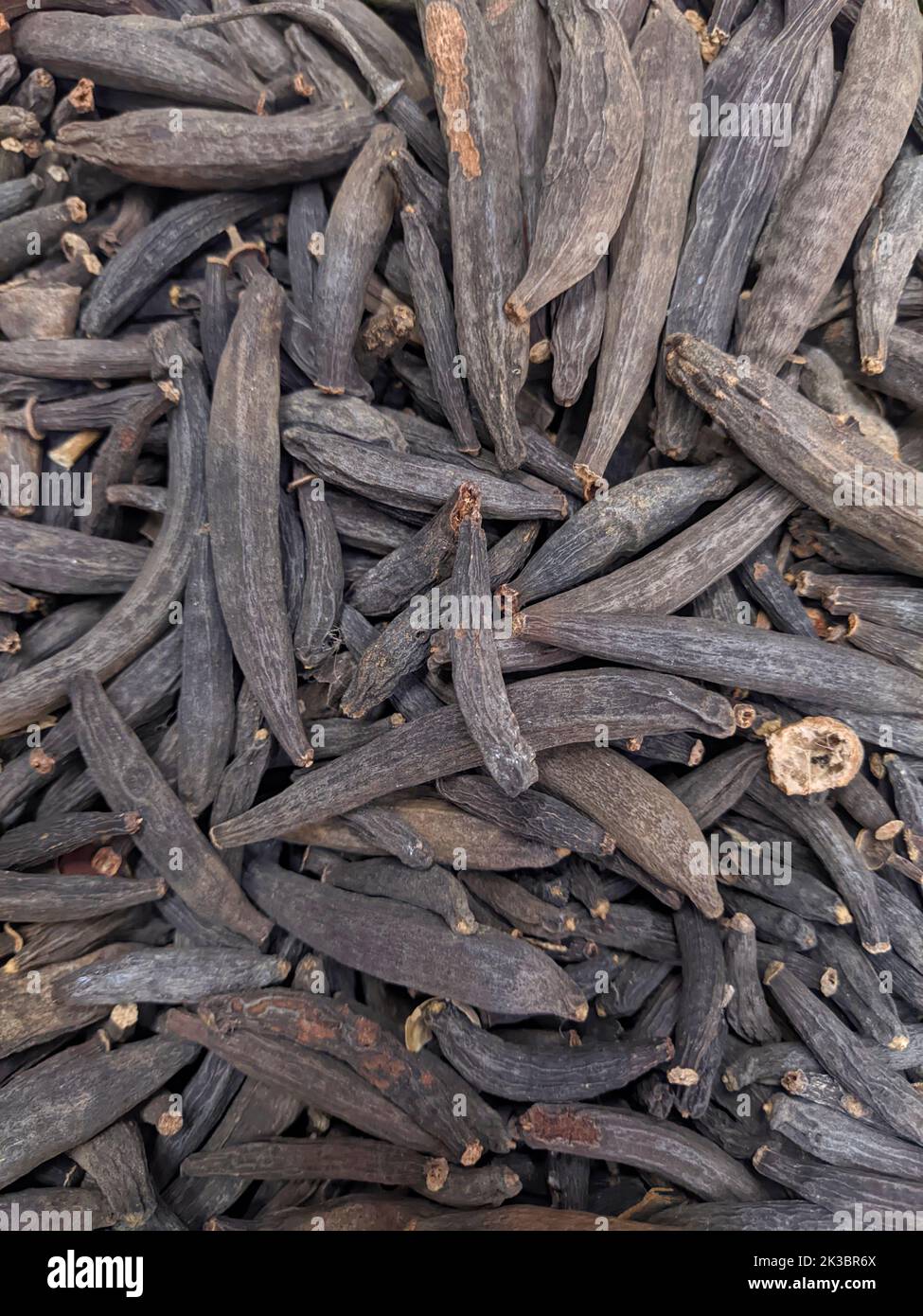 Papok Buds - marathi moggu épice, Sringeri, Karnataka, Inde Banque D'Images