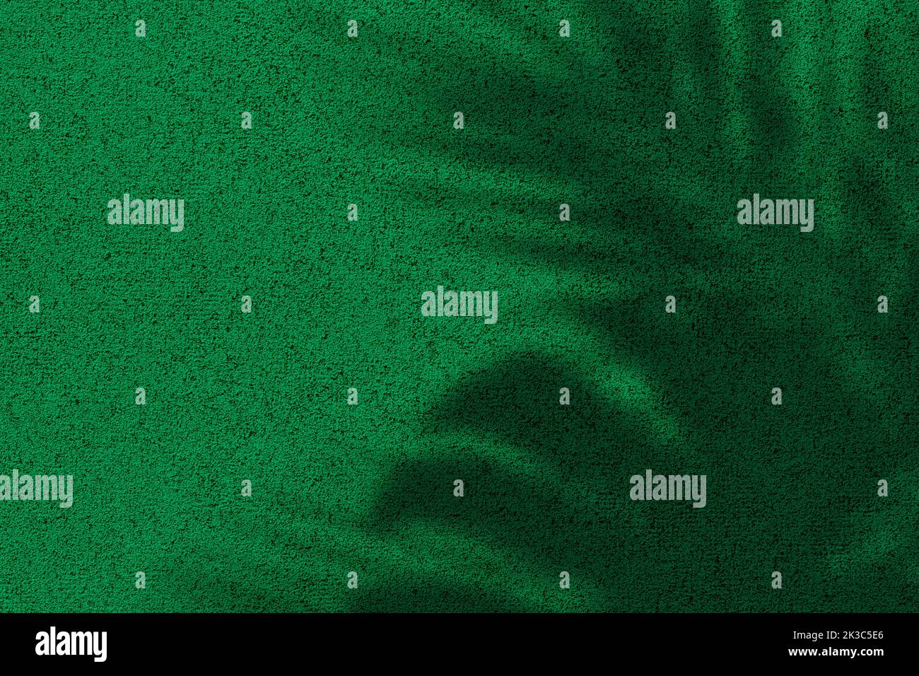 Ombre de feuilles sur fond de texture de mur en béton vert vif Banque D'Images
