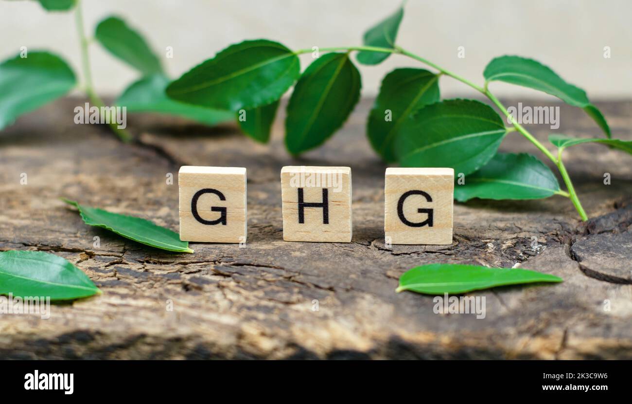 Abréviation GHG sur cubes de bois sur fond de feuilles vertes. Gaz à effet de serre. Banque D'Images