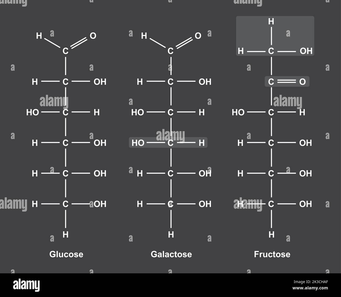Illustration chimique des monosaccharides. Glucose, fructose et galactose. Illustration vectorielle. Illustration de Vecteur