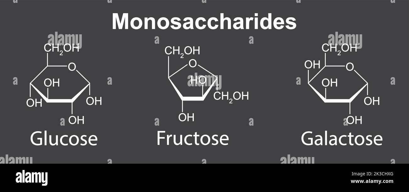 Illustration chimique des monosaccharides. Glucose, fructose et galactose. Illustration vectorielle. Illustration de Vecteur