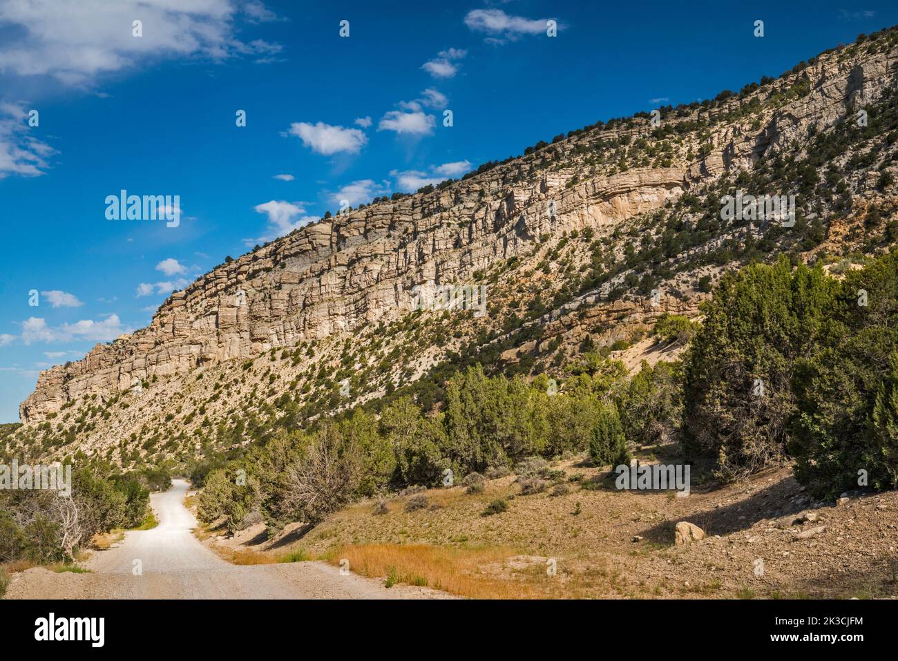 Falaises au-dessus du canyon Twelvemile, Skyline Drive (FR 022), plateau de Wasatch, forêt nationale de Manti la Sal, près de Mayfield, Utah, États-Unis Banque D'Images