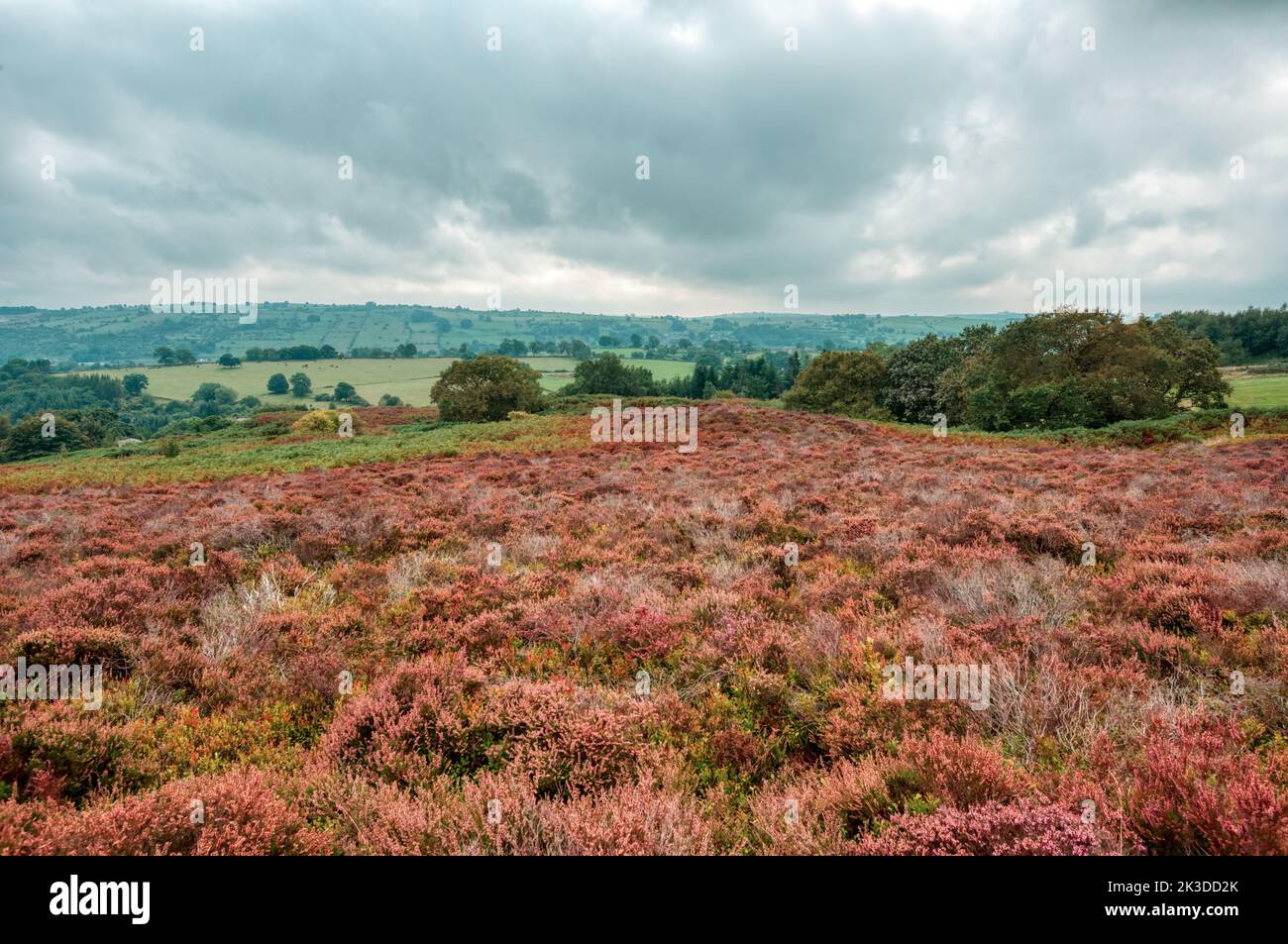 Stanton Moor, Peak District, Derbyshire, Royaume-Uni Banque D'Images