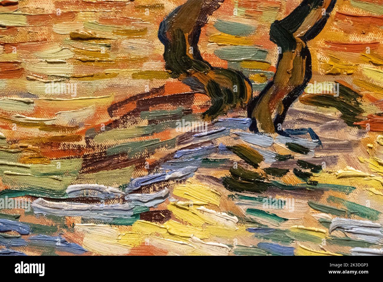 Détail de la peinture des oliviers par Vincent van Gogh à la Galerie nationale d'Écosse Banque D'Images