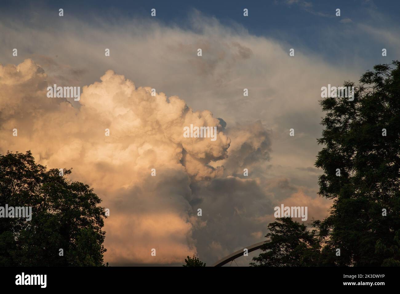 Une silhouette d'arbres et d'immenses nuages dans le ciel Banque D'Images