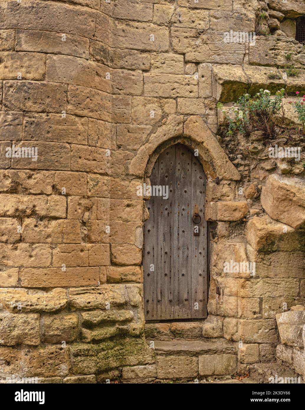 Une ancienne porte en bois est située dans la pierre d'un château du 12th siècle. La pierre est piqué et abîmé et des fleurs sauvages poussent sur les murs. Banque D'Images