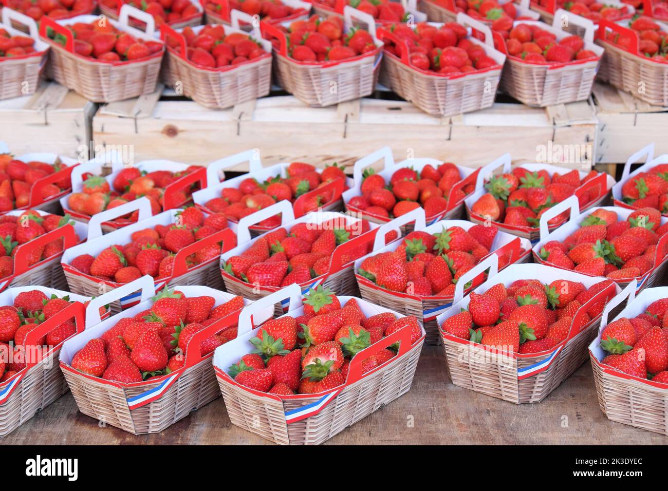 Fraises vendues par un producteur local sur un marché dans le département de Gironde (sud-ouest de la France) : punnet de fraises Banque D'Images
