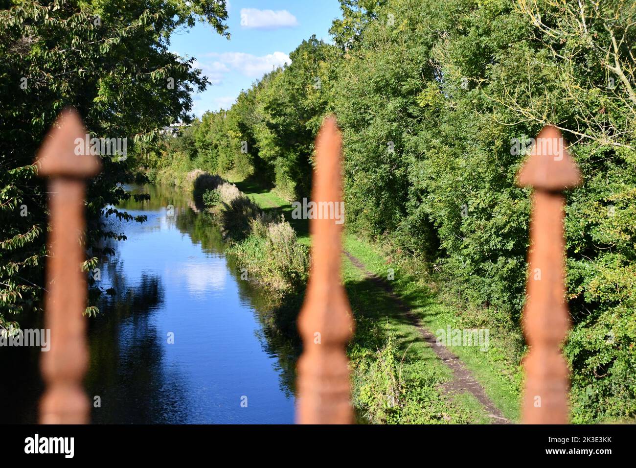 Gros plan de la clôture rouillée sur le pont, River Barrow, comté de Kildare, Irlande Banque D'Images