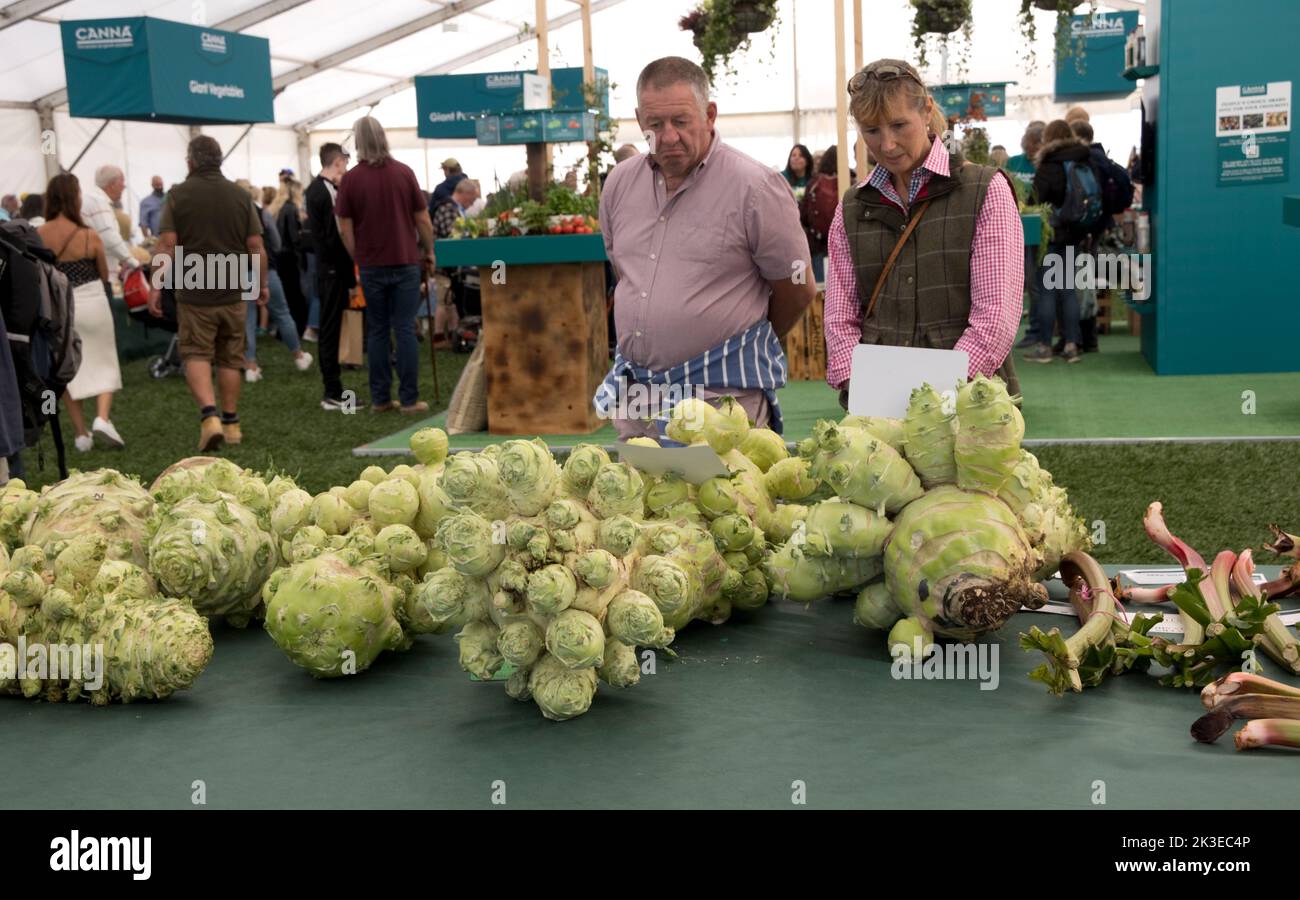 Visiteurs regardant certains des légumes géants au salon d'automne des trois comtés Great Malvern, Royaume-Uni Banque D'Images
