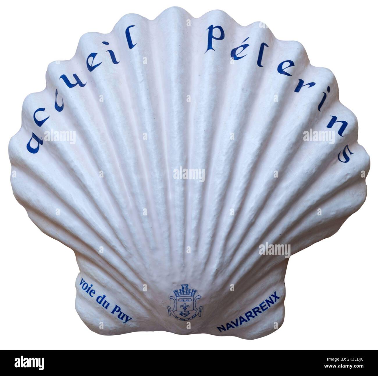 Coquille de pèlerin du chemin de Saint-Jacques isolée sur fond blanc Banque D'Images