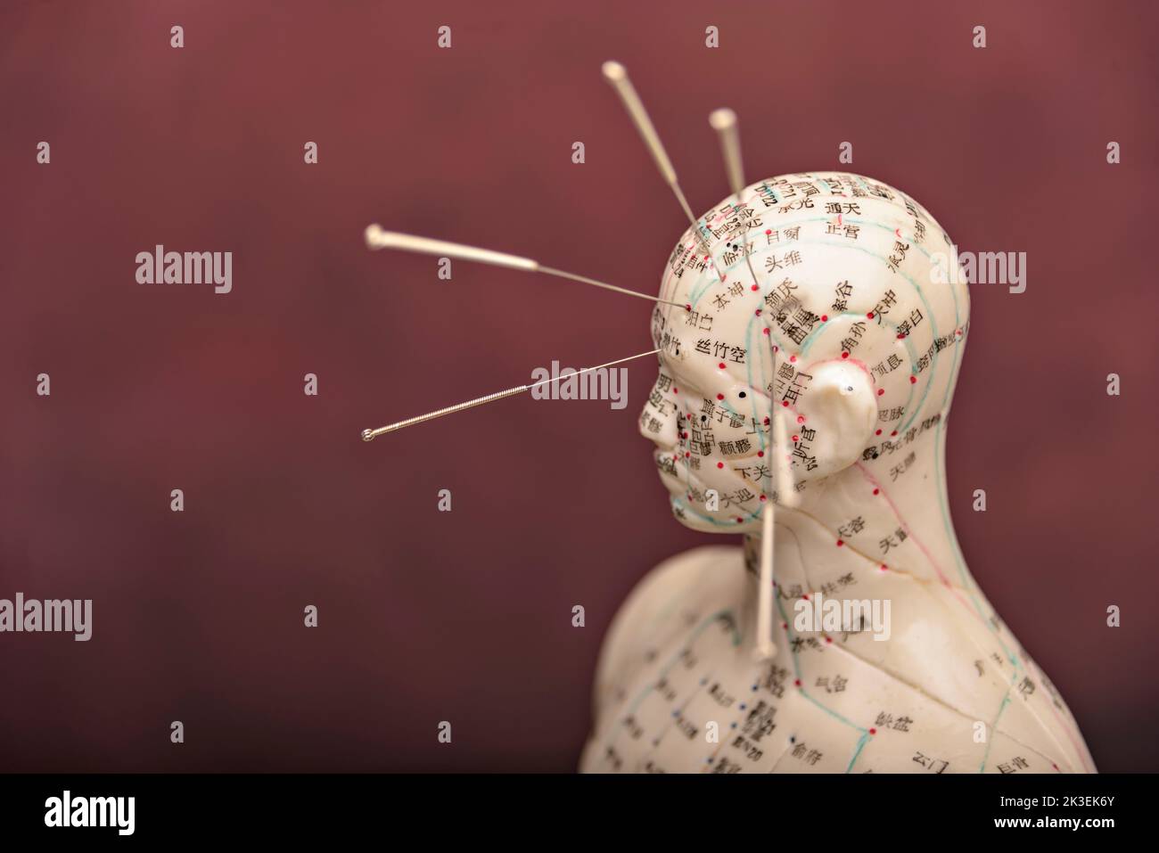 Modèle d'acupuncture énergie Meridians message Banner. Acupuncture mannequin montrant les méridiens et l'espace pour la copie. Banque D'Images