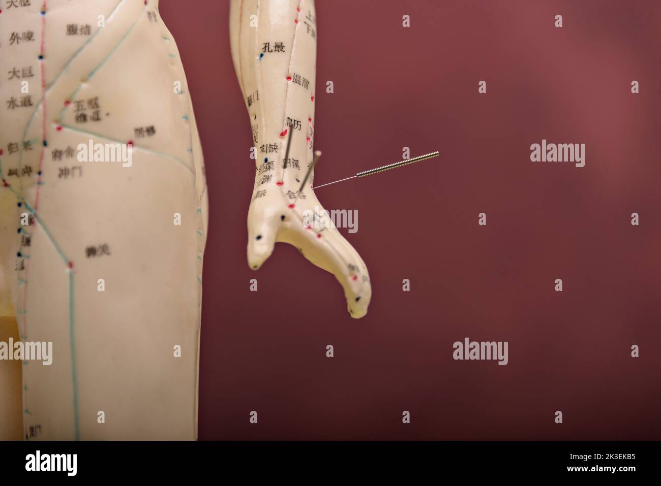 Modèle d'acupuncture énergie Meridians message Banner. Acupuncture mannequin montrant les méridiens et l'espace pour la copie. Banque D'Images