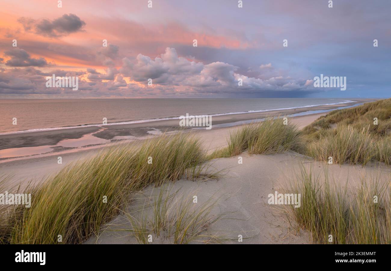 Vue du coucher de soleil sur les dunes de mer du Nord et le canal en Zélande, Pays-Bas Banque D'Images