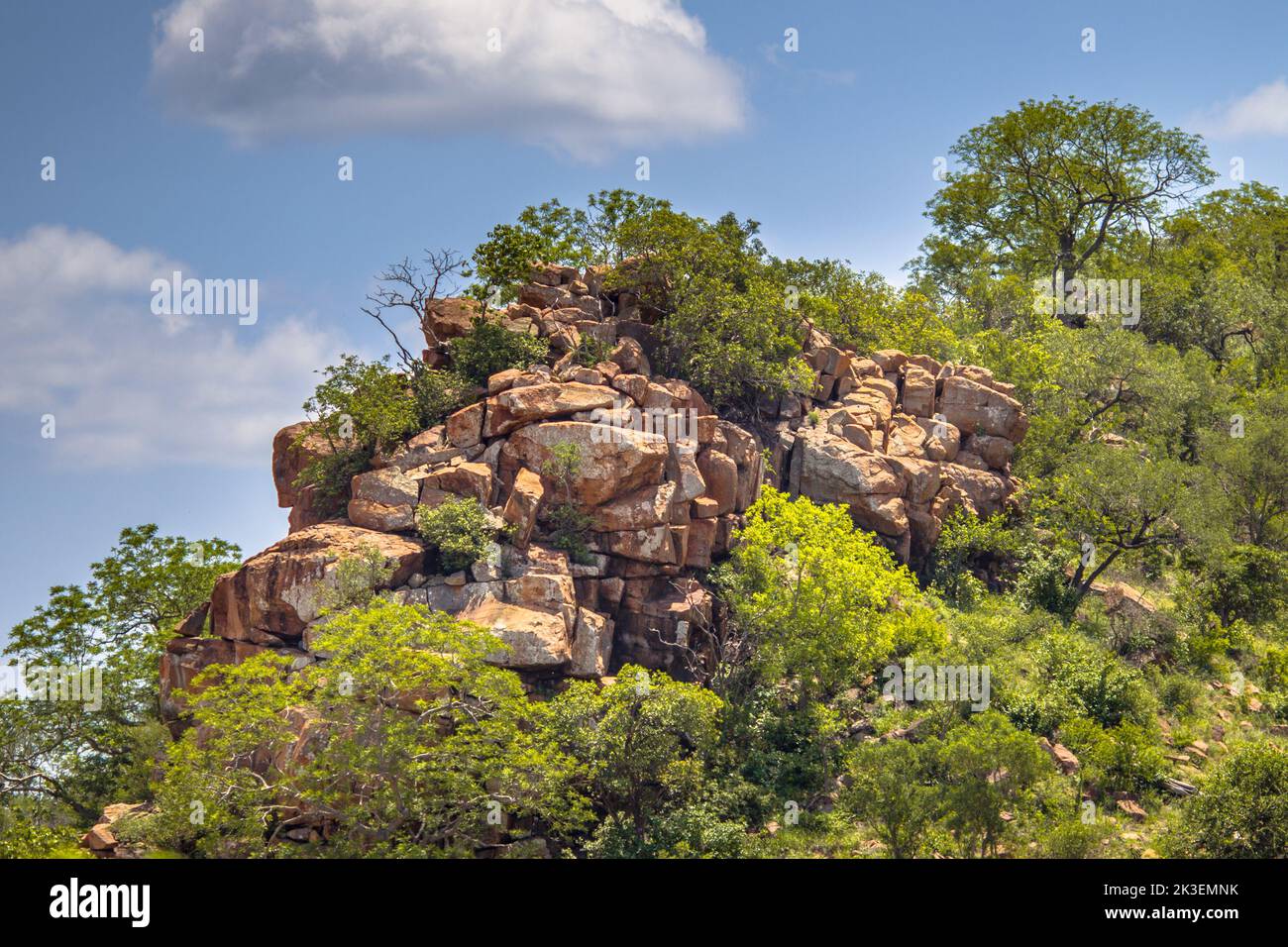 Piton rocheux ou koppie rhyolitiques dans le parc national Kruger en Afrique du Sud Banque D'Images