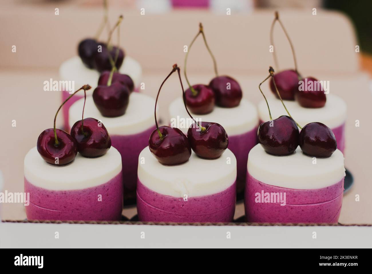 Délicieux petits gâteaux roses avec glaçage blanc et cerise rouge sur le dessus avec une base de chocolat. Banque D'Images