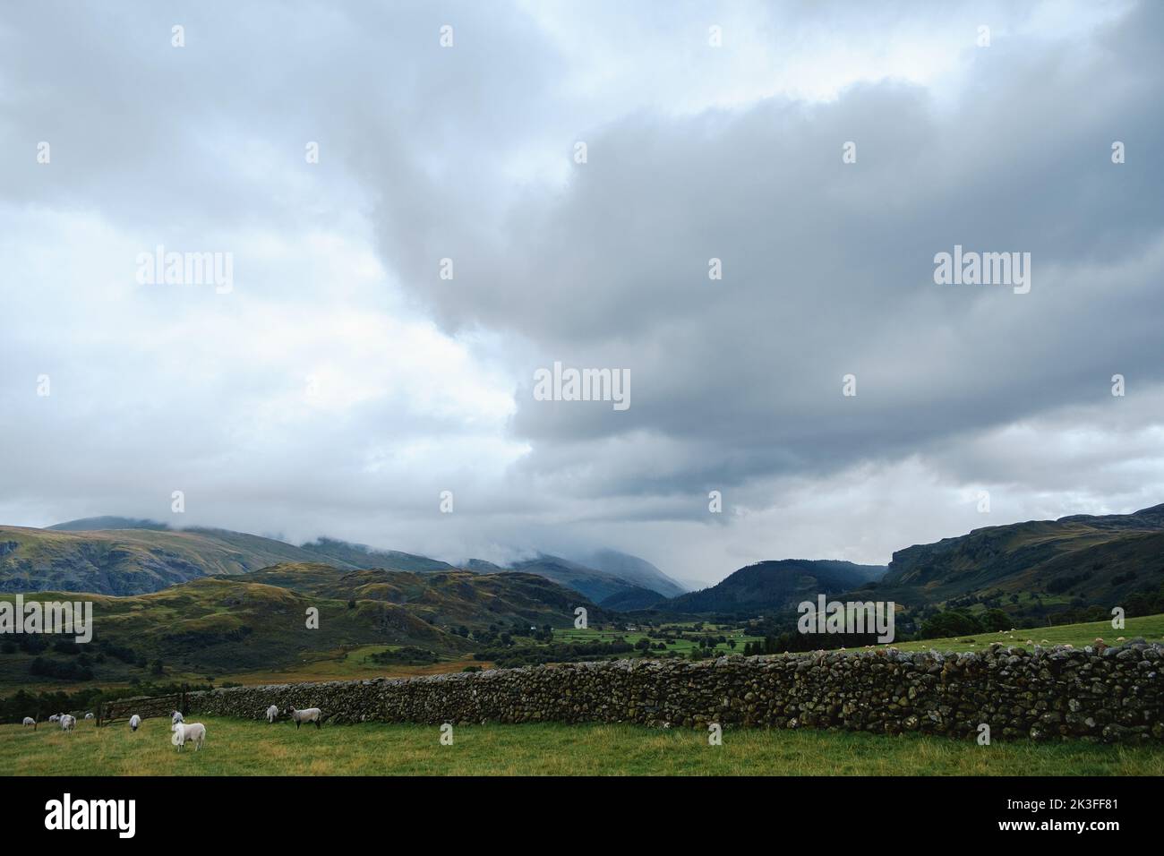 Vue sur les montagnes et les fermes de moutons à Cumbria, Angleterre, Royaume-Uni Banque D'Images