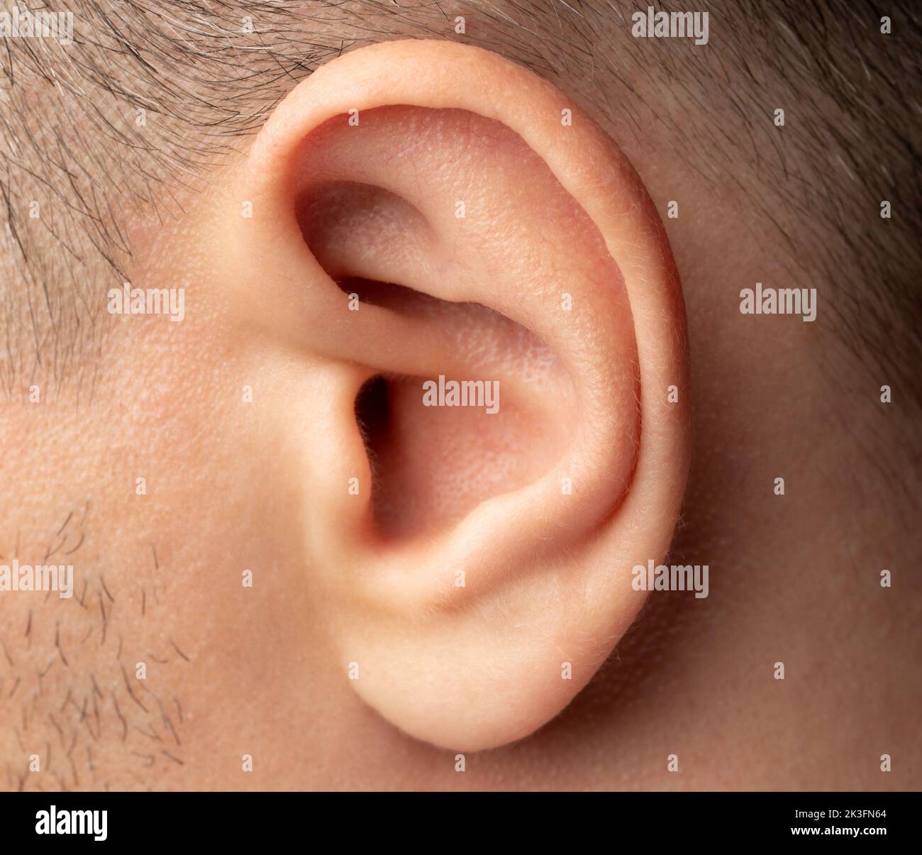 Nettoyez l'oreille humaine de près sur la tête de l'homme Banque D'Images
