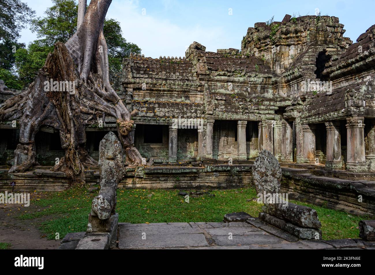 Cambodge. Siem Reap. Le parc archéologique d'Angkor. Arbre de la racine de banyan Tree surpoussant des parties de l'ancien temple hindou du 12th siècle de Preah Khan Banque D'Images
