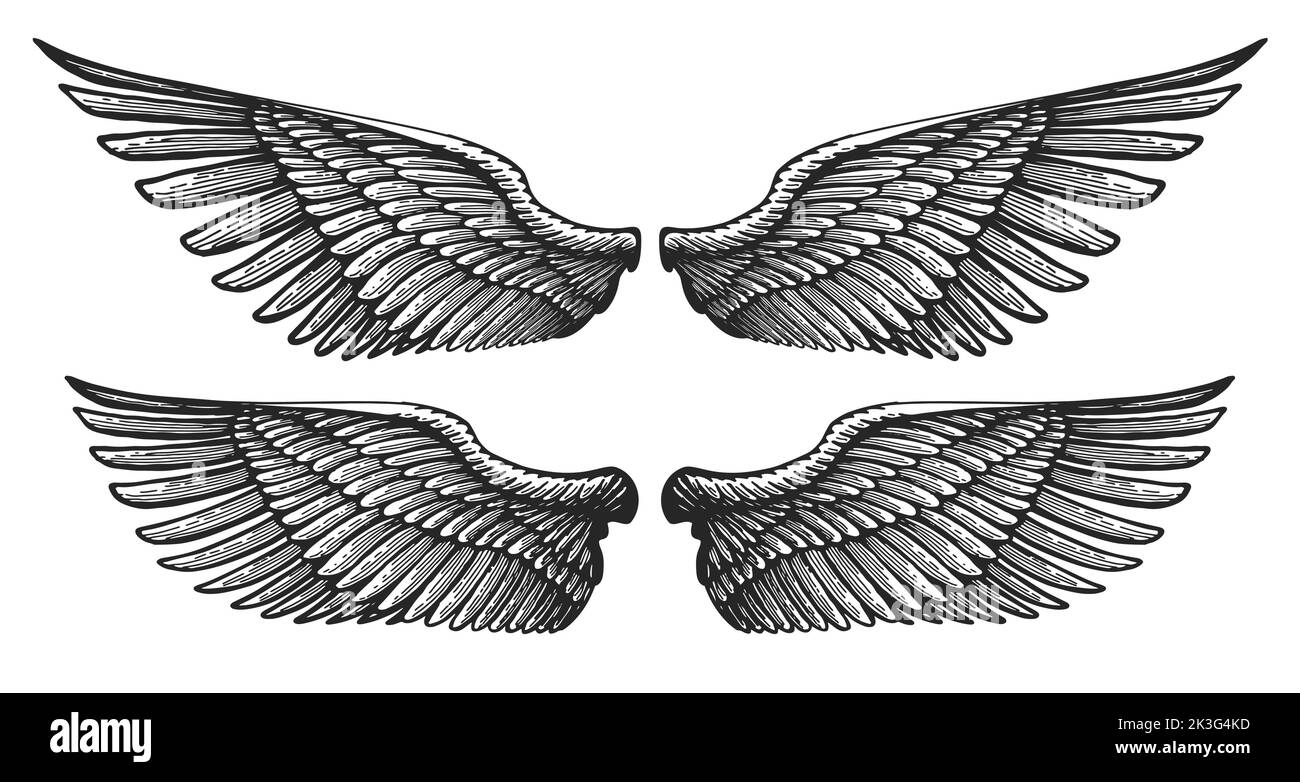Paire d'ailes d'ange dans un style de gravure vintage. Aile d'oiseau héraldique dessinée à la main. Illustration vectorielle Illustration de Vecteur