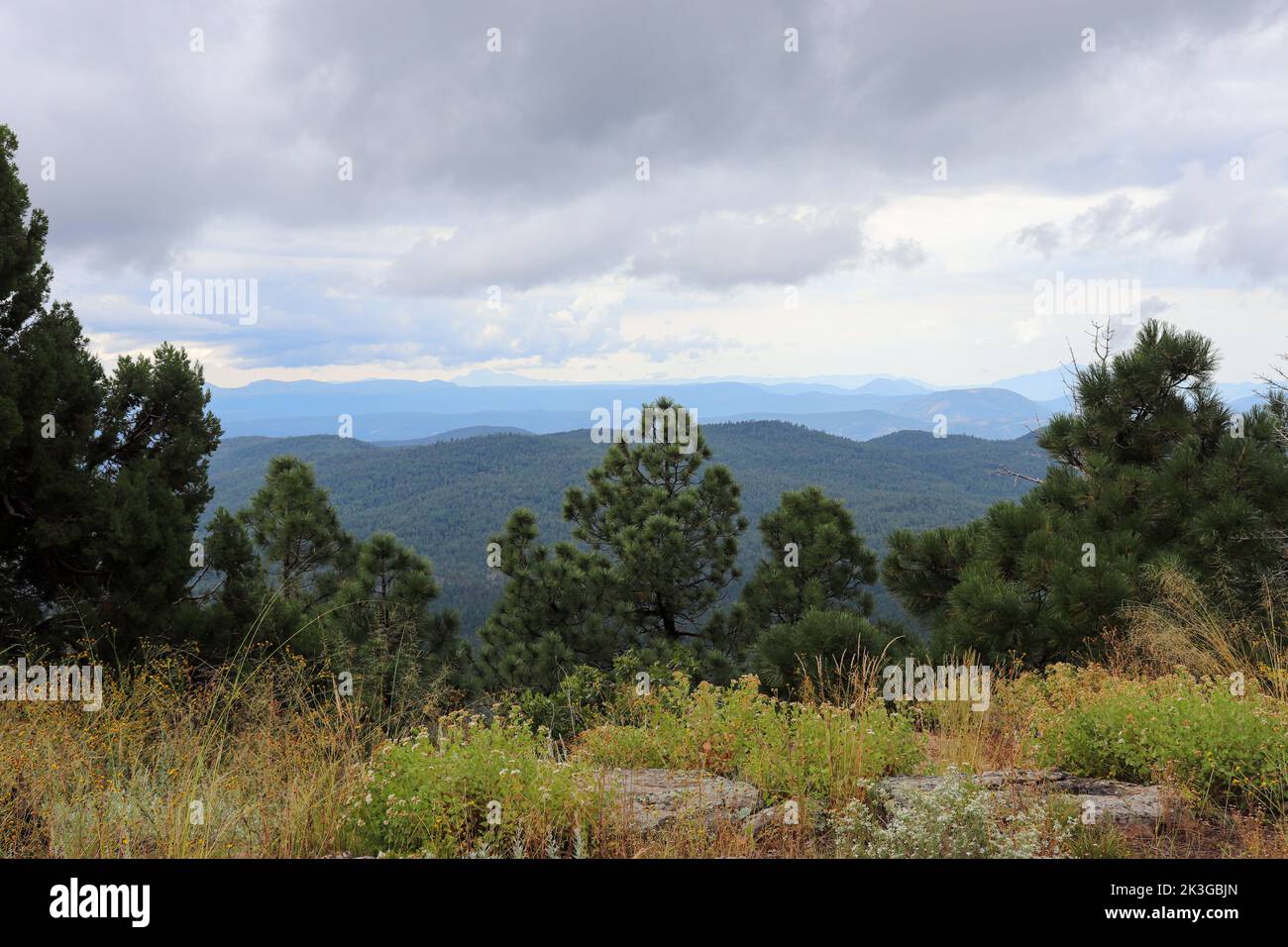 Vue sur les montagnes depuis la route près du lac Woods Canyon en Arizona. Banque D'Images