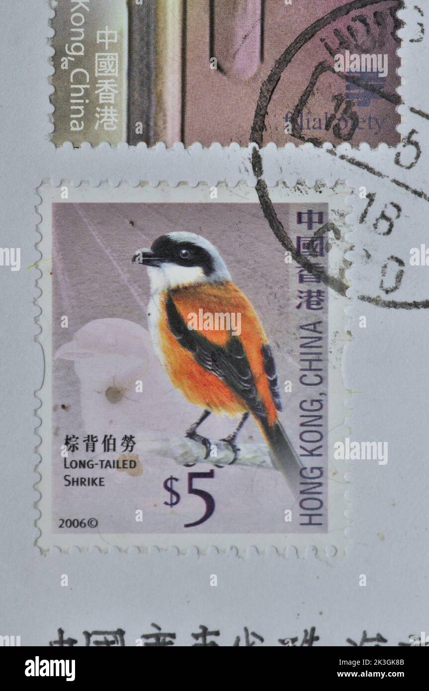 Hong Kong - VERS 2006 : un timbre imprimé à Hongkong montre un oiseau de crevettes à queue longue , vers 2006 Banque D'Images