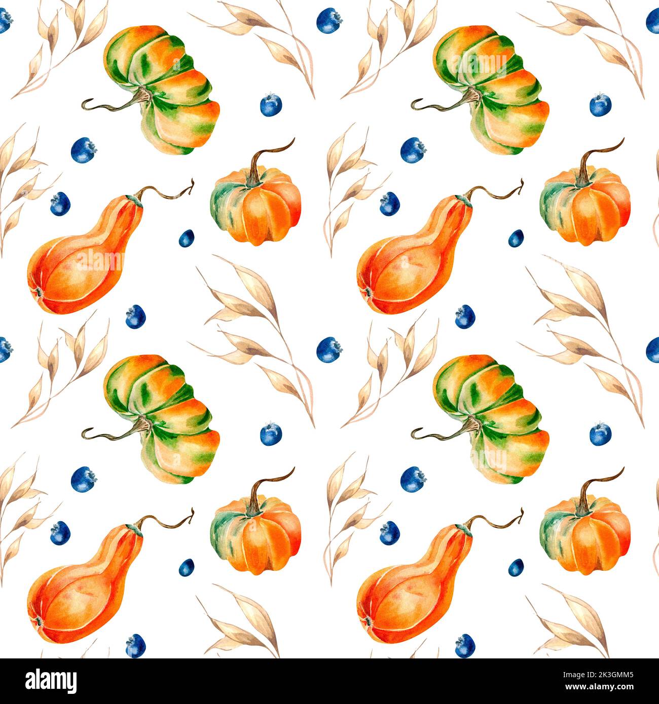 Citrouilles, épillet, bleuet aquarelle motif sans couture sur blanc. Légumes d'automne colorés dessinés à la main. Design pour l'emballage, textile, arrière-plan, f Banque D'Images