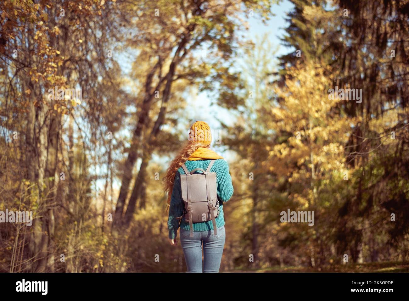 Une jeune femme aux cheveux rouges se promène dans le parc d'automne. Une fille aux cheveux bouclés luxuriants regarde la forêt d'automne Banque D'Images