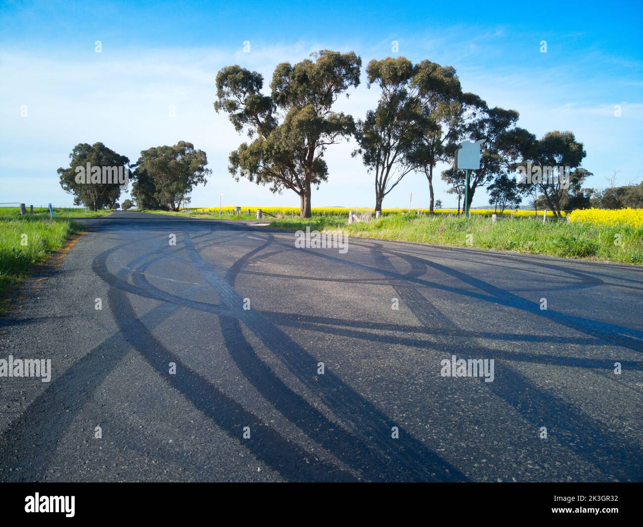 Marques de dérapage et traces de pneus sur une route tarmac avec champ de canola et arbres, Victoria, Australie. Banque D'Images