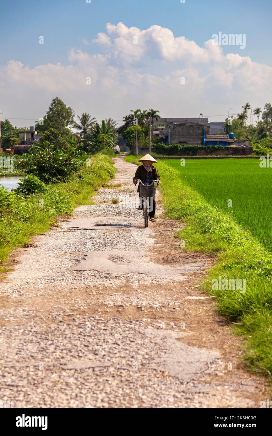 Cycliste portant un chapeau de bambou sur la route de campagne, Hai Phong rural, Vietnam Banque D'Images