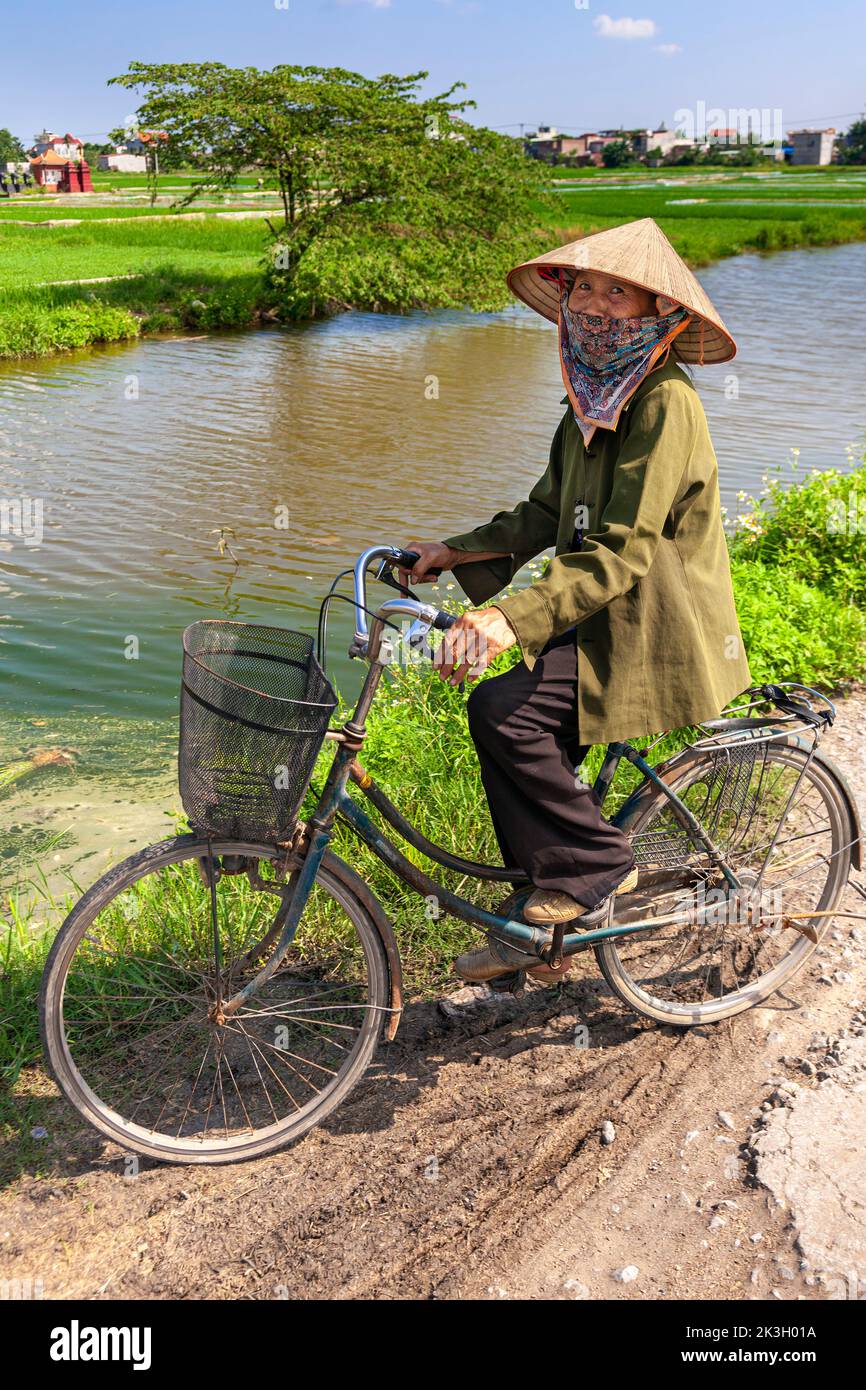 Cycliste portant un chapeau de bambou sur la route de campagne, Hai Phong rural, Vietnam Banque D'Images