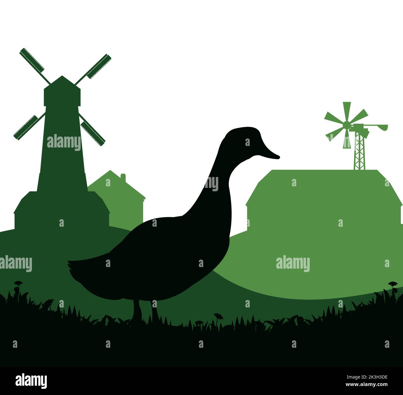 Les canards s'empaissent dans les pâturages. Silhouette de l'image. Animaux de la ferme. Volaille domestique. Paysage rural avec maison de ferme. Isolé sur fond blanc. Vecteur. Illustration de Vecteur