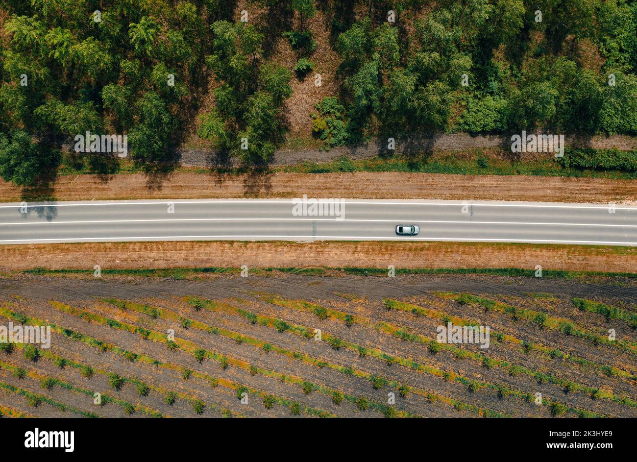 Vue aérienne d'une seule voiture grise conduisant le long de l'autoroute à travers le paysage boisé le jour ensoleillé d'été, concept de voyage Banque D'Images