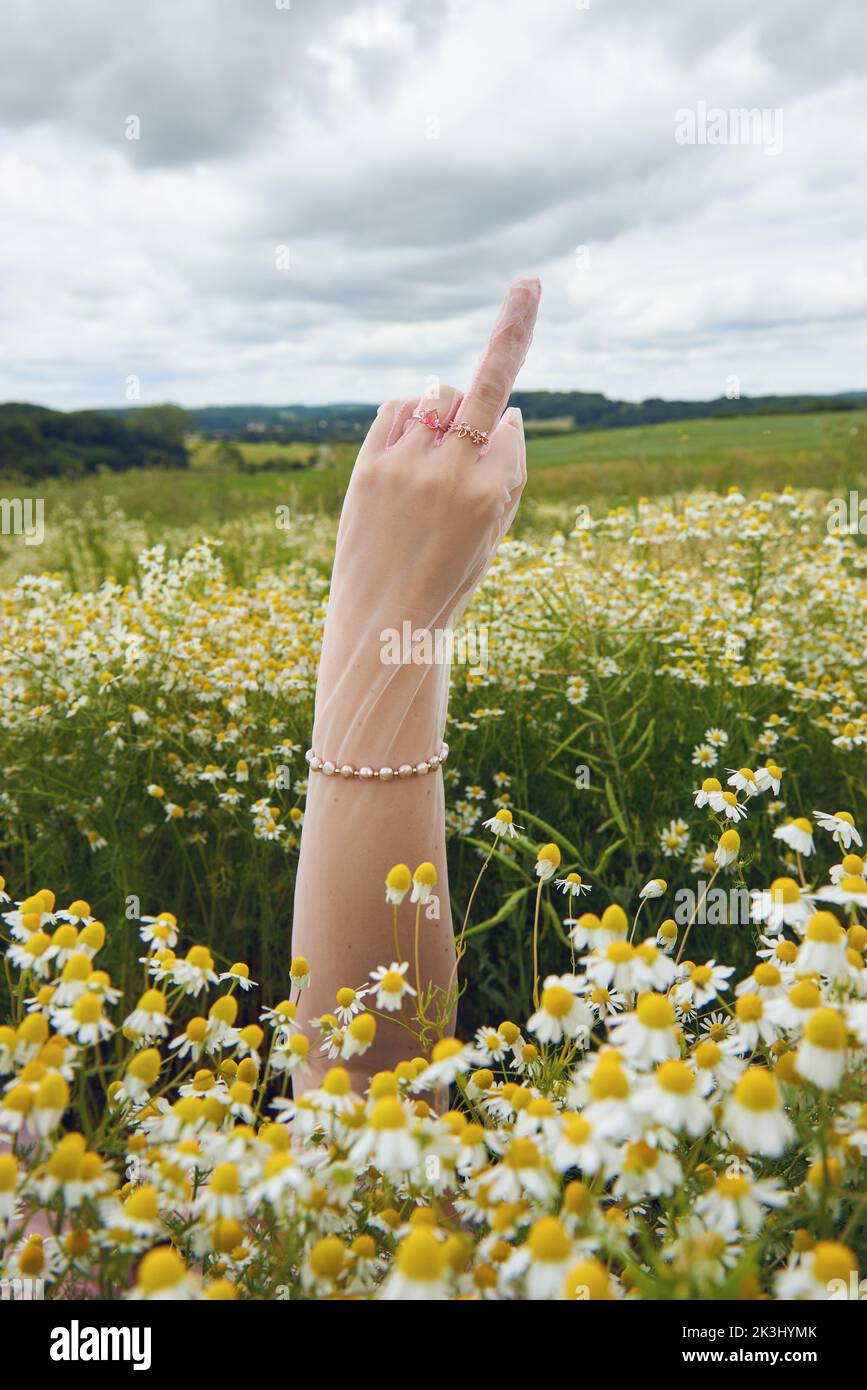 Jeune femme blonde portant une robe rose bouffée dans un champ de fleurs en été Banque D'Images