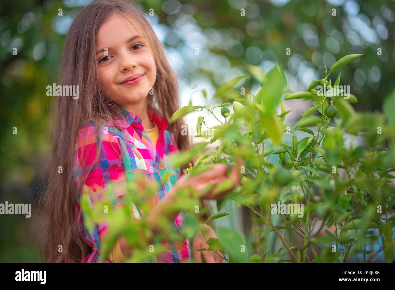 Souriant belle fille paysanne prendre soin des agrumes verts dans le jardin. Concept d'agriculture. Banque D'Images