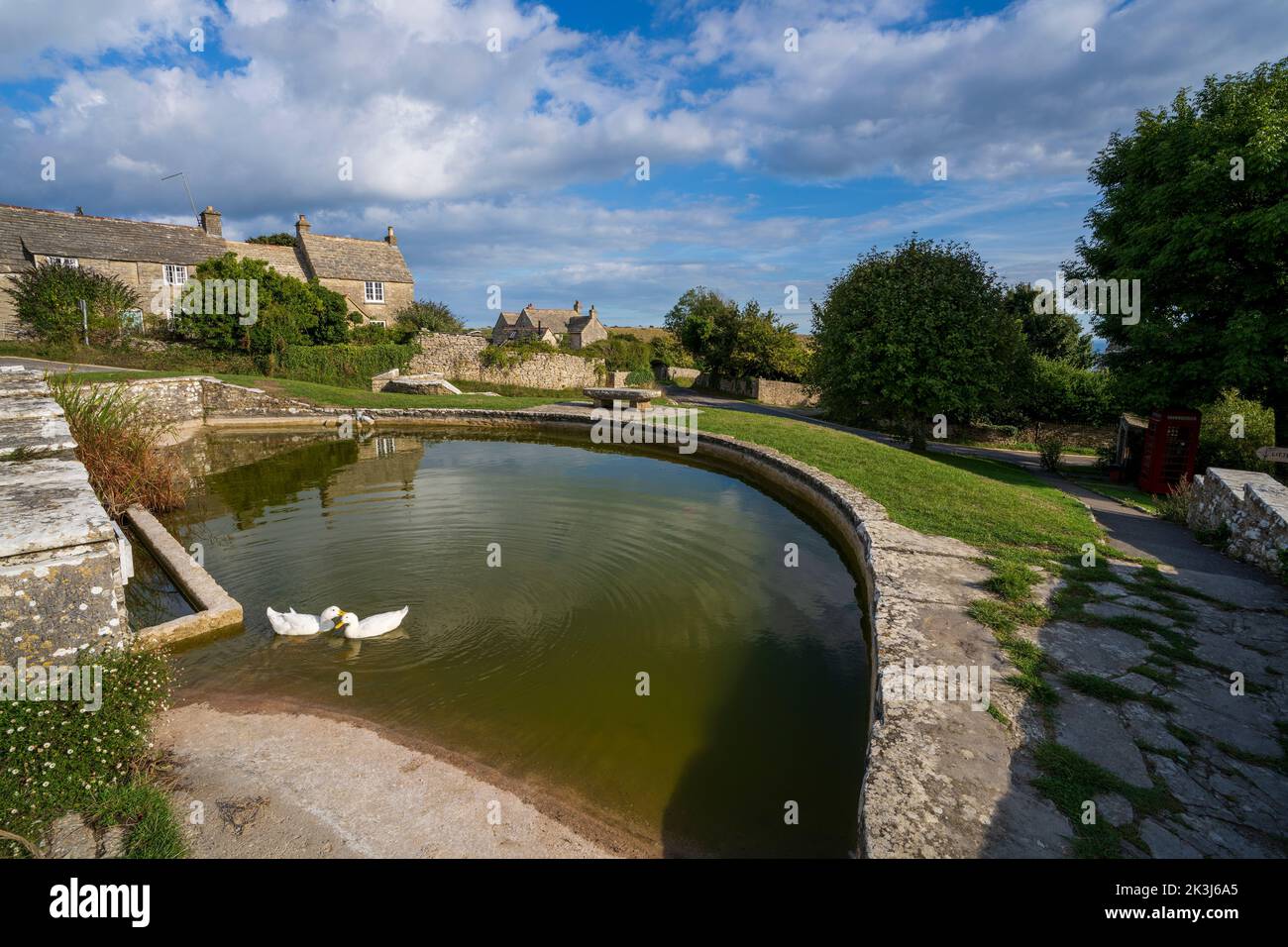 L'étang du village de Worth Matravers, île de Purbeck, Dorset, Angleterre, Royaume-Uni Banque D'Images