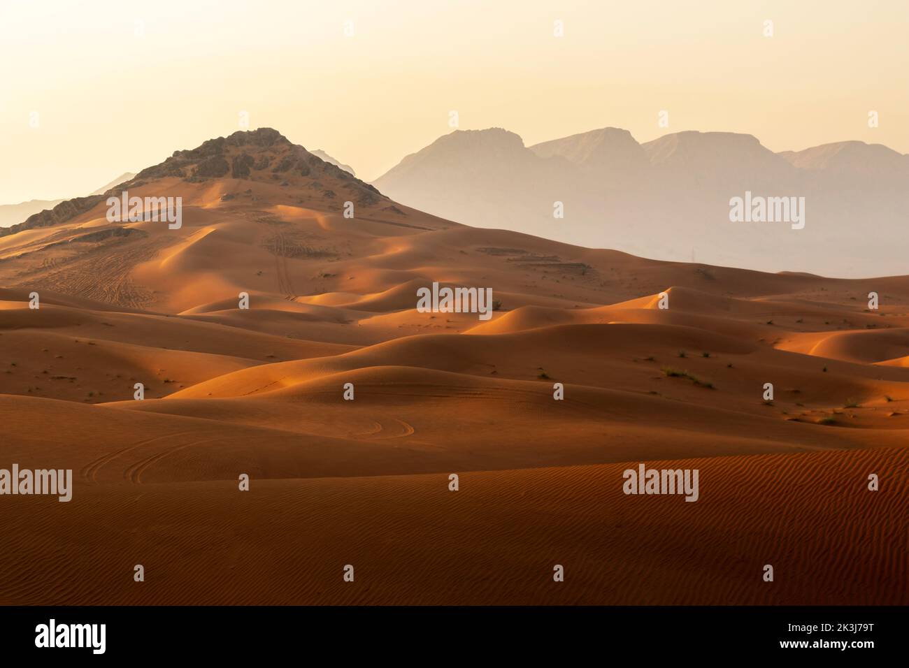 Désert de Maleha. Maleha est une grande dunes à Sharjah, aux Émirats Arabes Unis. La roche fossile ou rose est une structure de roche dure juste entre les dunes de sable, une merveille naturelle Banque D'Images