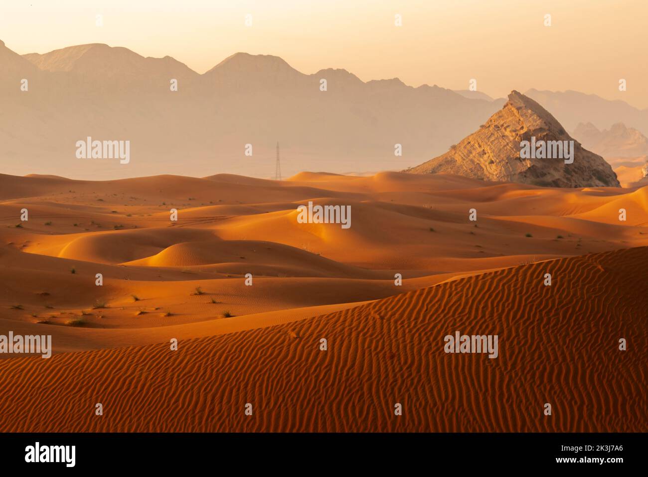 Désert de Maleha. Maleha est une grande dunes à Sharjah, aux Émirats Arabes Unis. La roche fossile ou rose est une structure de roche dure juste entre les dunes de sable, une merveille naturelle Banque D'Images