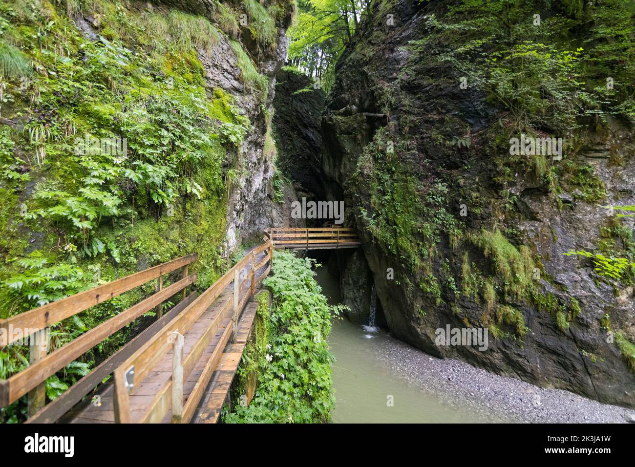 Balustrade en bois au Rappenlochschlucht près de Dornbirn dans le Vorarlberg, Autriche Banque D'Images