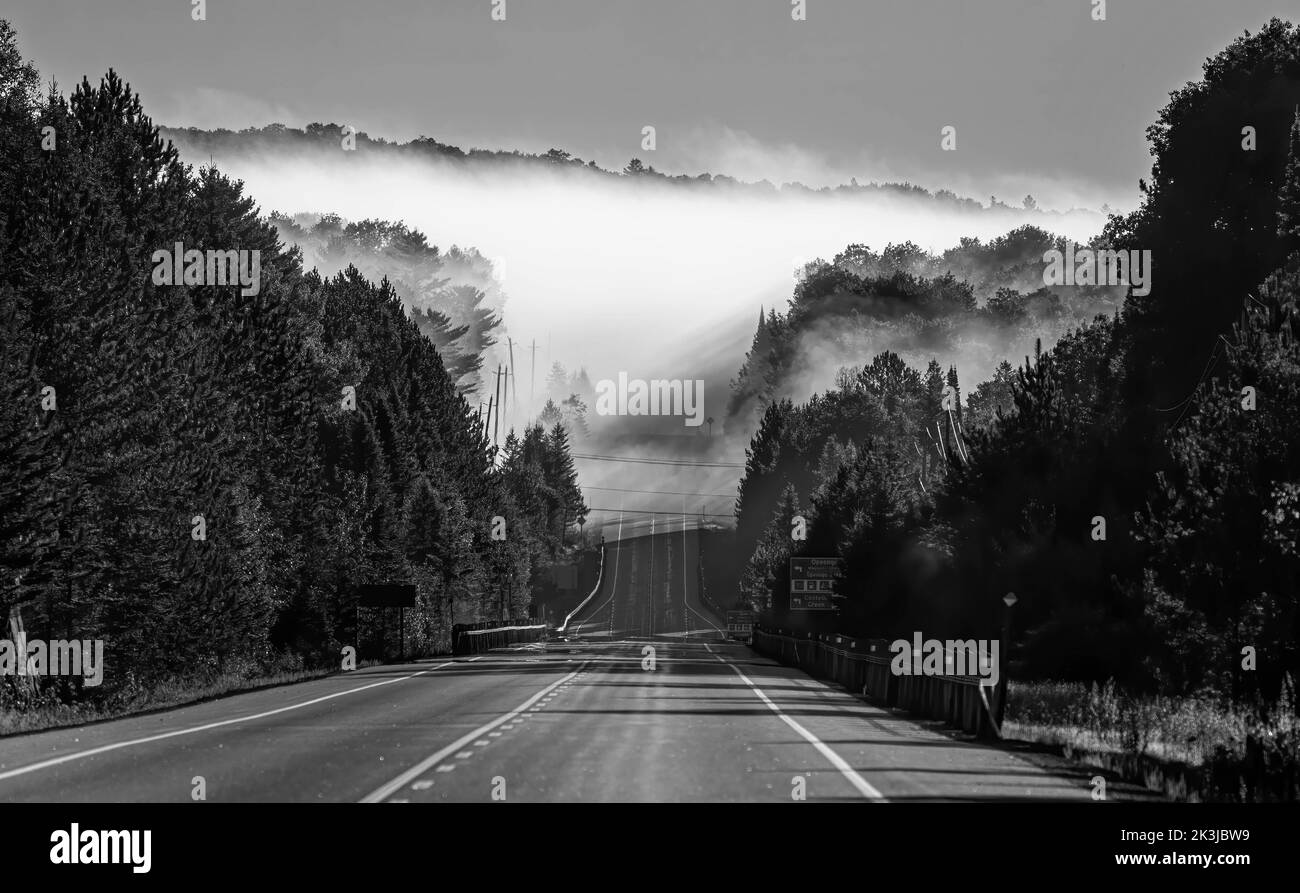Brouillard matinal au début de l'automne sur l'autoroute 60, dans le parc Algonquin, Canada Banque D'Images
