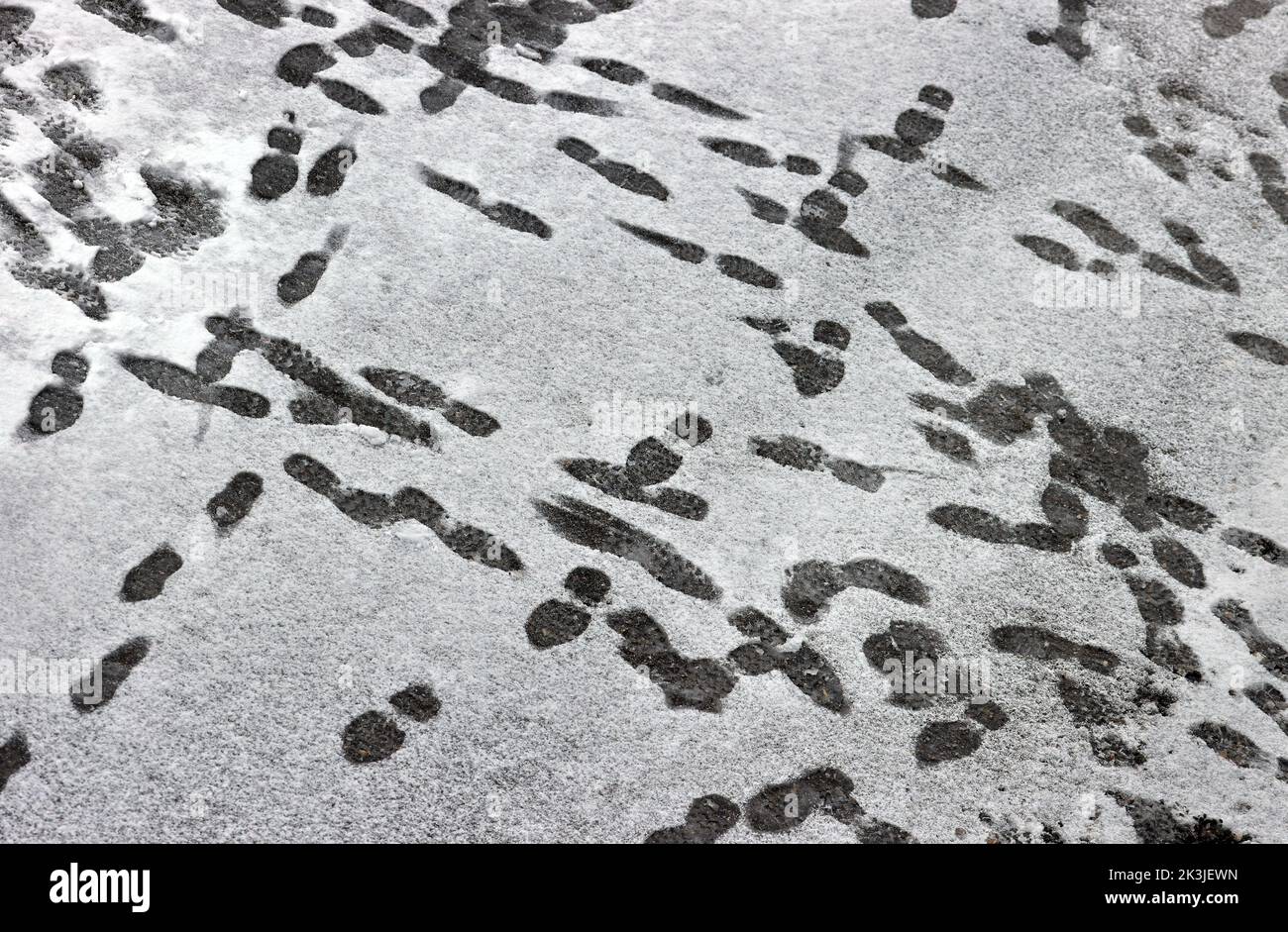 Oberstdorf, Allemagne. 27th septembre 2022. La neige fraîche est parsemée de traces de pieds à la gare centrale de Fellhornbahn, à 1780 mètres d'altitude. Credit: Karl-Josef Hildenbrand/dpa/Alay Live News Banque D'Images