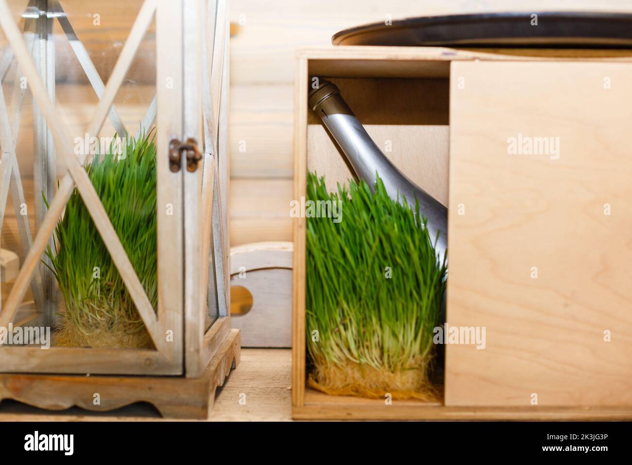 Boîte en bois avec bouteilles de vin vides, bouteilles floues. Banque D'Images