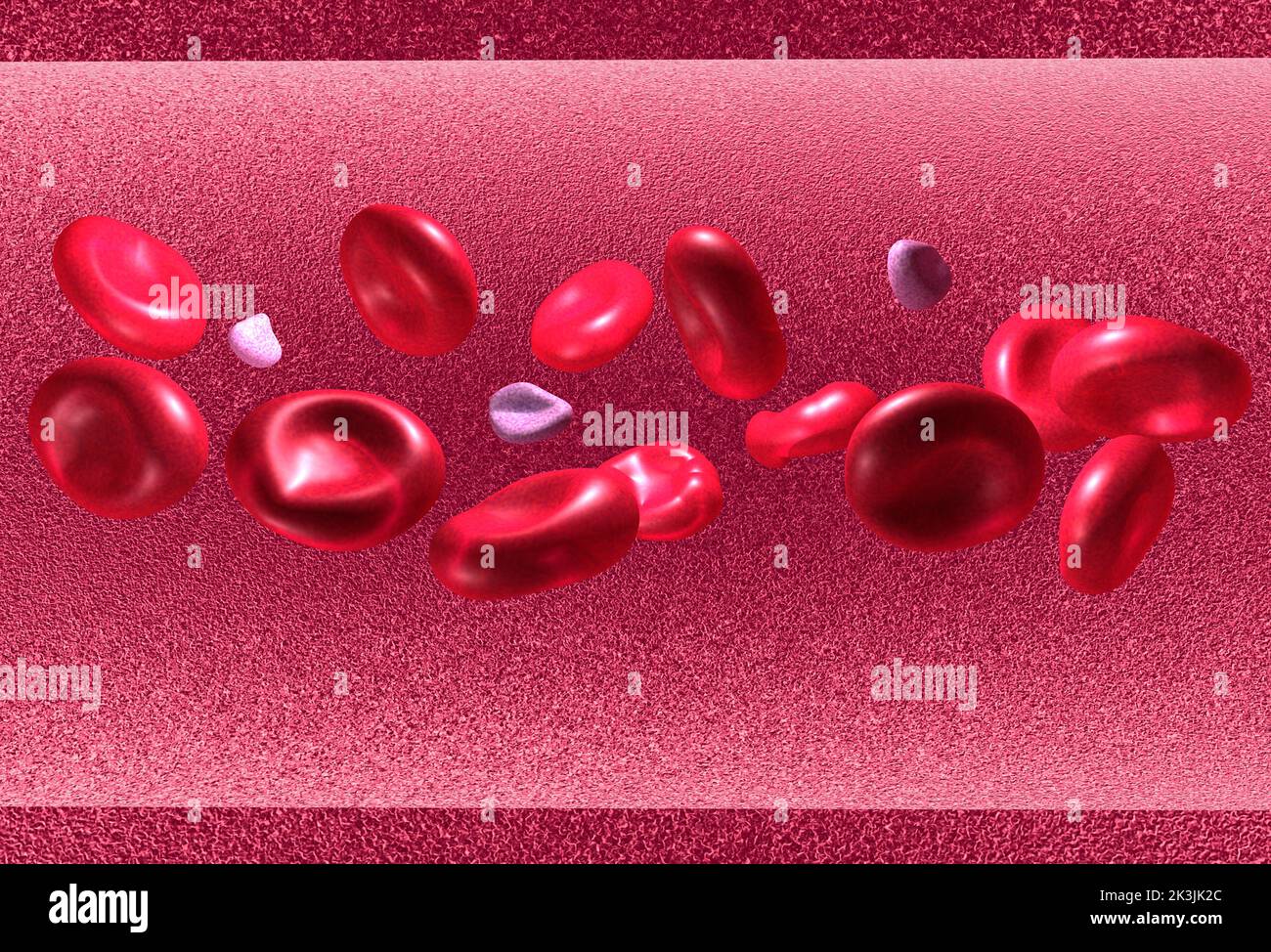 Illustration anatomique 3D des globules rouges. Déplacement horizontal dans un flux sanguin. Banque D'Images