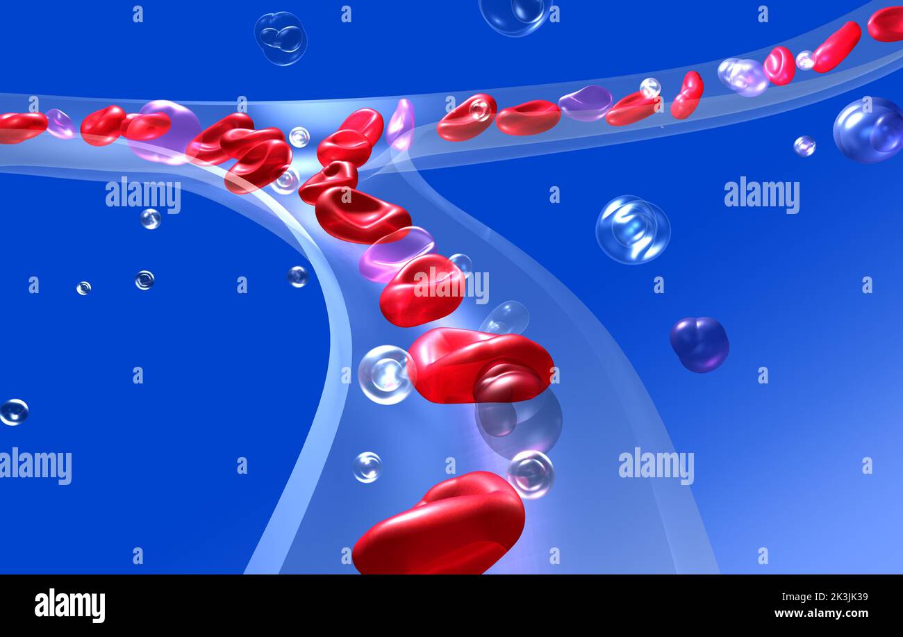 Illustration anatomique 3D des globules rouges dans la circulation sanguine. Verre capillaire transparent sur fond bleu. Banque D'Images