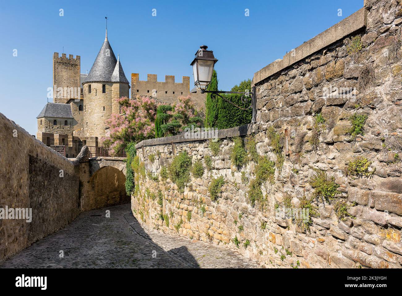 Vue panoramique sur la ville médiévale de Carcassonne et ses remparts de France Banque D'Images