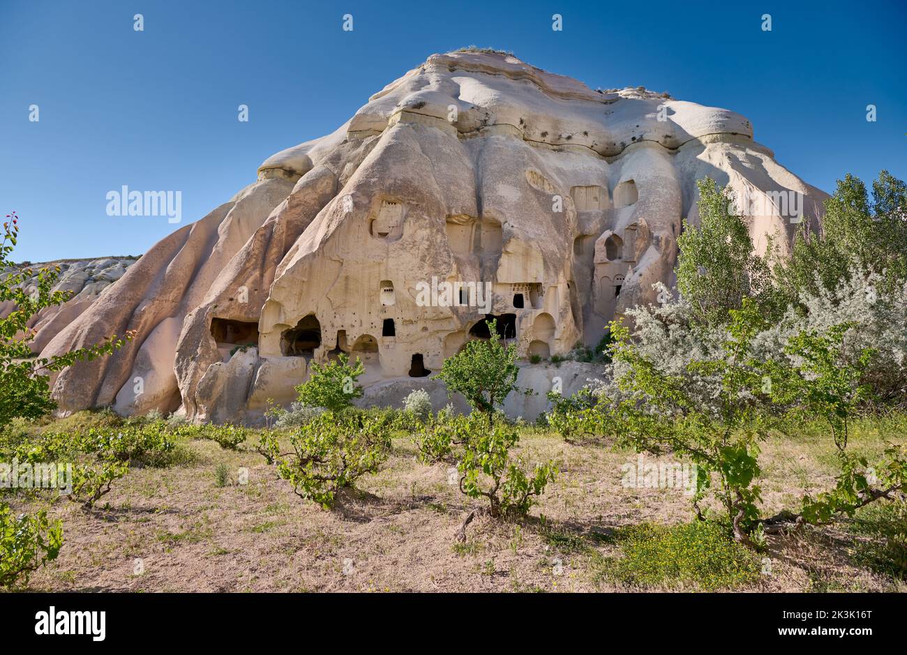 Maisons en pierre sculptée ou maisons de grotte dans le paysage de la vallée de la Rose Goreme, Cappadoce, Anatolie, Turquie Banque D'Images