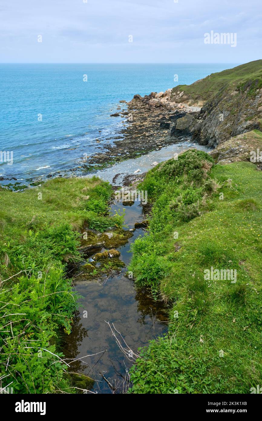 Un ruisseau descend en cascade jusqu'à la mer d'Irlande sur la péninsule de Llyn le long du Wales Coast Path Banque D'Images