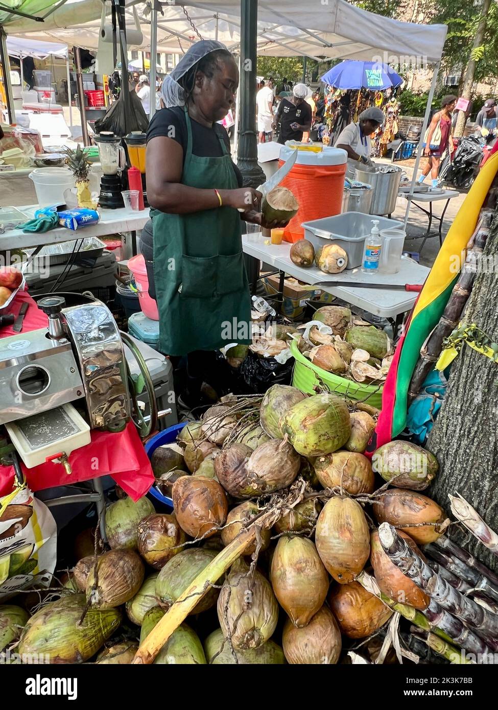 Woman prépare du jus de noix de coco frais dans la noix de coco au West Indian Day Parade le long de Eastern Parkway à Brooklyn, New York. Banque D'Images