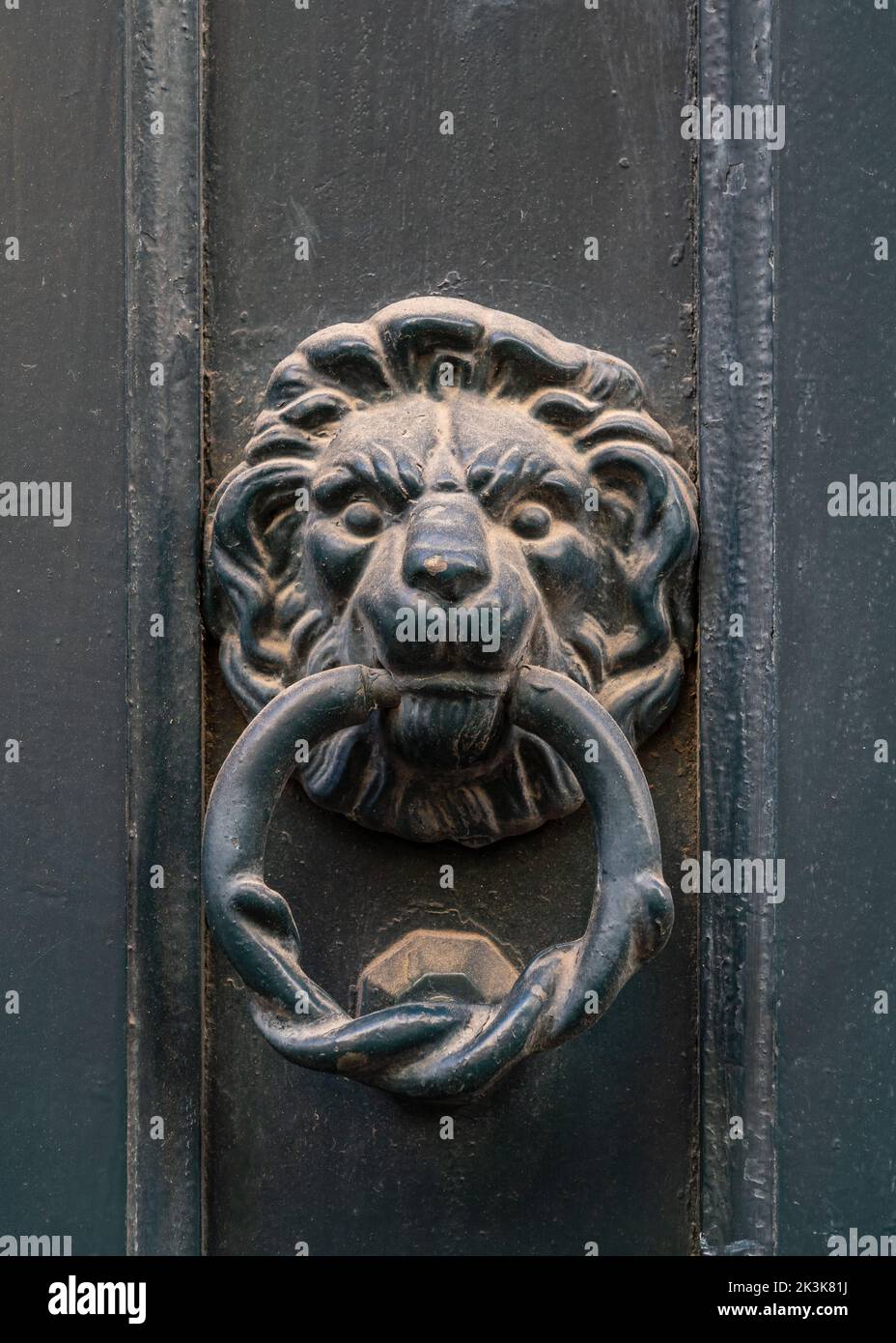 Vue rapprochée de l'ancienne porte à tête de lion en laiton, isolée sur une ancienne porte en bois vert, Montpellier, France Banque D'Images